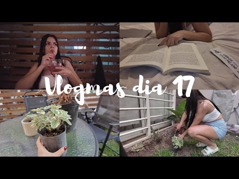 VLOGMAS 17: mi vida cotidiana entre libros y plantas 🌱