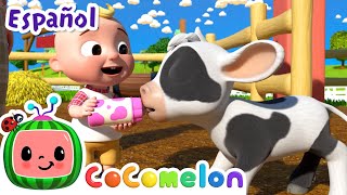 El viejo MacDonald (Versión para bebés) | Animales lindo caricaturas para niños | En español