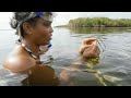 Seagrass Ecosystem and Conservation