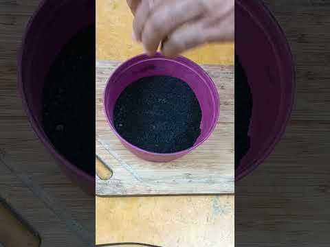 Mezcla limón con carbón