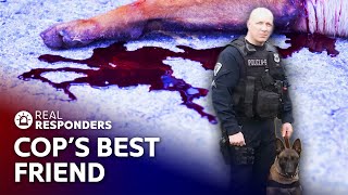 K9 Saves Cops From Gunman | Real Responders