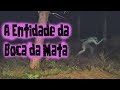 Reações e Consequências na História de Francisco