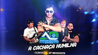 A CACHAÇA HUMILHA Anilton Oliveira E Banda