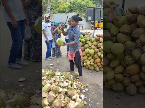 Coconut cutting skills India 4.96 #india #coconut #shorts #skills #perfection #water #fresh #machete