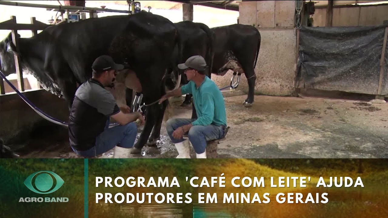 Programa ‘Café com Leite’ ajuda produtores em Minas Gerais | Agro Band