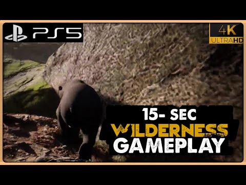 Wilderness Gameplay Part 29