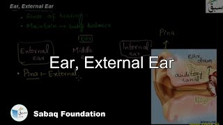 Ear, External Ear