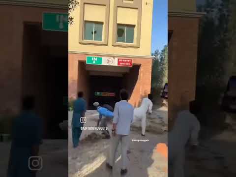 Panjab college lahore #short #panja