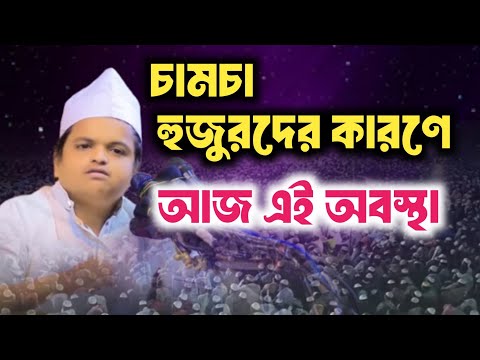 চামচা হুজুরদের কারণে আজ এই অবস্থা রফিকুল ইসলাম মাদানী/রফিকুল ইসলাম মাদানী ওয়াজ/rafiqul islam madani