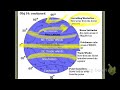 Energy Transfer and Wind Patterns