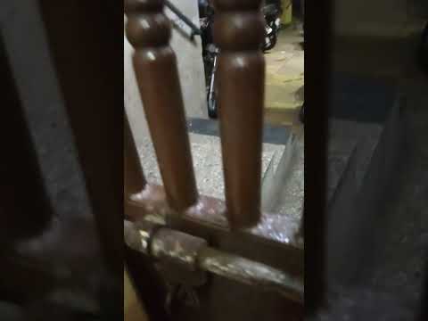 #animals #catshorts #catsayiloveyoutoowner