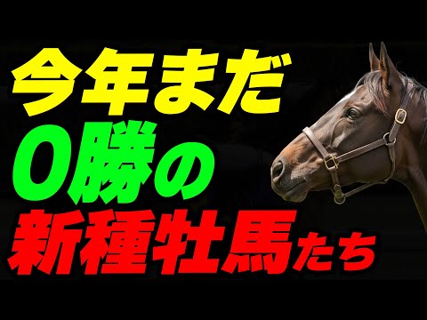 今年まだ0勝の新種牡馬たち