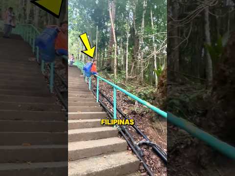 El Atajo Increíble Que Usan los Estudiantes Para Llegar a la Escuela