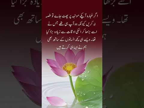 #quotes #poetry #motivation #aqwalezareen #4line #love #shorts