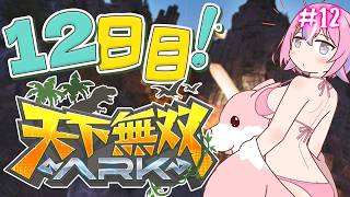 【 #天下無双ARK 】12日目！色々アプデ入ったらしい？！楽しみ！【秘間慈ぱね/ぶいぱい】