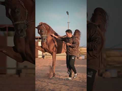 13 ноября 2025 г.