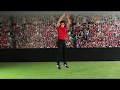 Understanding the Video Tutorial