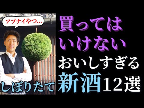 ◆禁断◆買ってはいけない！おいしすぎる新酒 12選【日本酒】 （射美/作/山和星/東洋美人…）