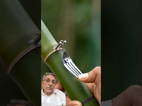 #bamboo #bamboo1 #archery #hunting #automobile #bambooart #slingshots