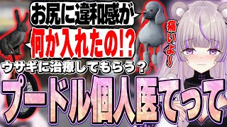 【ストグラ】ウサギに治療してもらう？プードル個人医てって！！【切り抜き/ノーリミ/みなみてって/NOLIMIT】