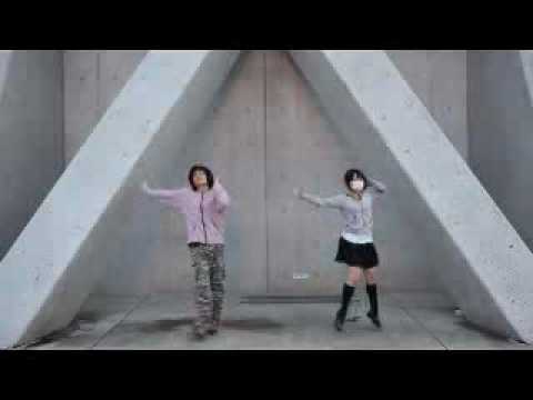 【暴徒】ストロボナイツを踊ってみた【きなこ】