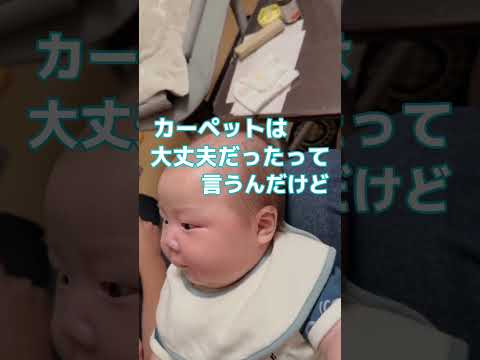 口止めりとちゃん🍼#赤ちゃん￼#セチュラジオ