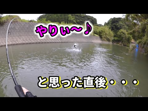 【カラーチェンジ】の効果。小型河川シーバスデイゲーム！