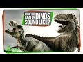 Understanding Dinosaur Sounds