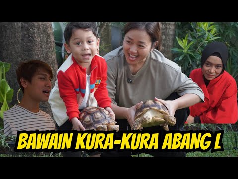 BAWAIN KURA - KURA ABANG L... NGREPOTI WONG TUWO...