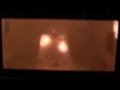 Exploring Plasma with Grapes and Microwaves