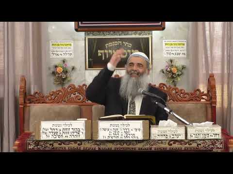 הרב שמעון זרביב | פרשת השבוע - לך לך | בית הכנסת מוסאיוף