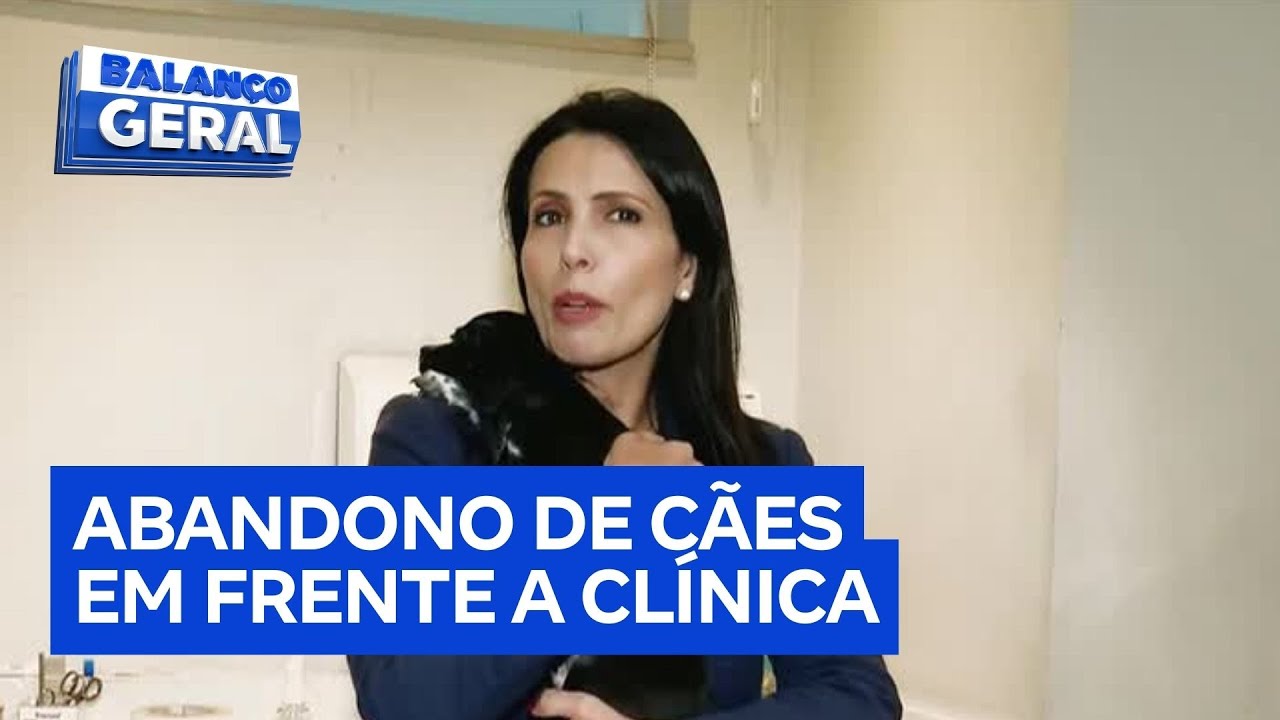 Homem abandona caixas com cachorros filhotes em frente a clínica veterinária em SP