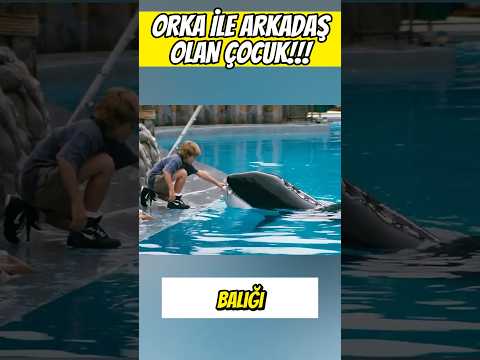 ORKA İLE ARKADAŞ OLAN ÇOCUK! 🤽♂️🐡🌪️