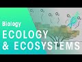 Understanding Habitats and Organisms