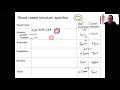 Blood Vessel Structure and Function