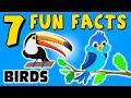 Birds: Unique Features and Facts