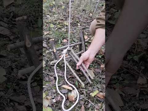 trap #bushcraft #trap #survival