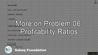 More on Problem 06: Profitability Ratios