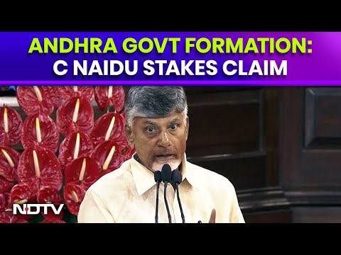 Andhra Pradesh Government Formation: Chandrababu Naidu's TDP Stakes Claim