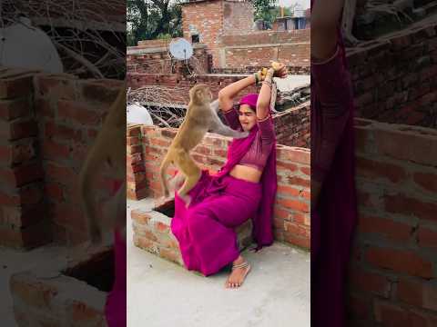 Itni kirpa sanware banaye rakhna #shree_krishna_ringtone #monkeyvideosforkids #monkey