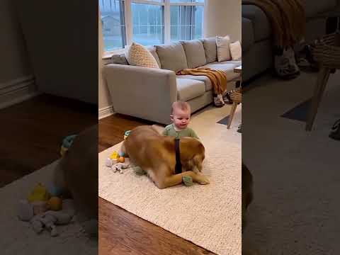 #funny #fypシ #foryou #baby