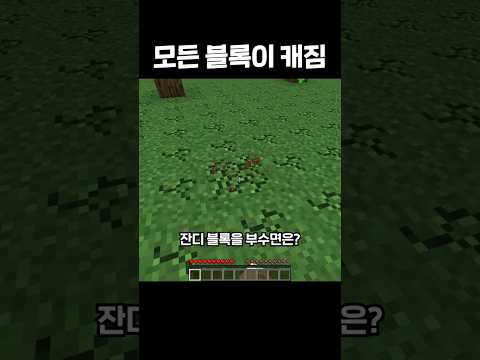 모든 <strong>블록이</strong> 캐짐