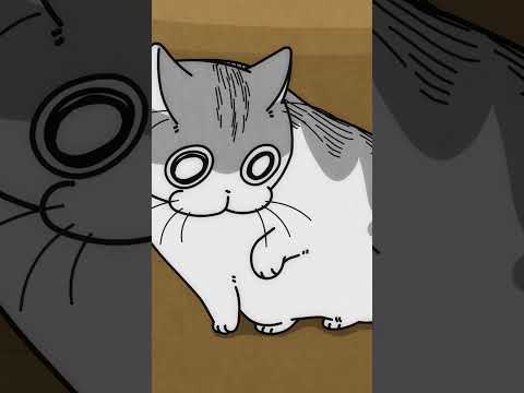 猫の動画サムネイル - 箱の中のネコの様子
