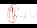 Statistical Measures and Distributions