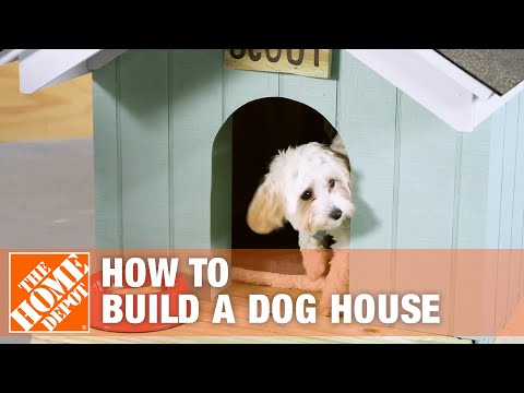 How to Build a DIY Dog House