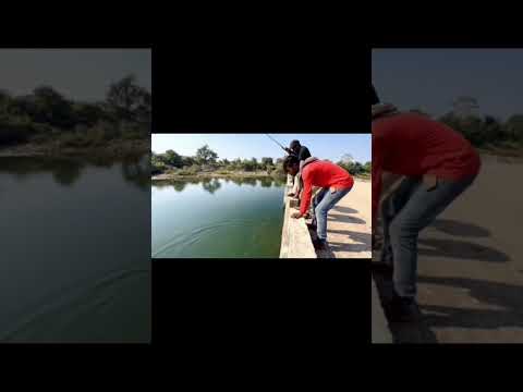hamare dost 10kg ka rahu pakde. #fishing #trendingshorts #shorts #viral #trendingfeed