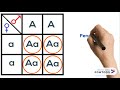 Plant Genetics and Inheritance Concepts