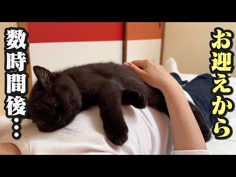 猫の動画サムネイル - 家に来た初日からくっついて離れない子猫が可愛い