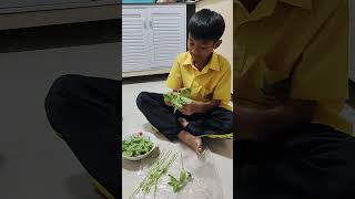 มื้อนี้งบไม่เกิน200 เน้นทำกินเอง #food #cooking #chicken