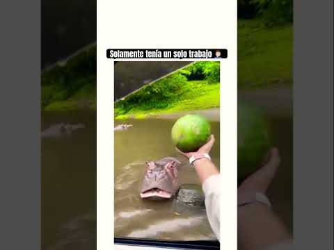 Una tarea solamente 🤦🏻‍♂️#humor